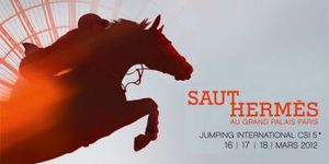 70395-saut-hermes-2012-grand-palais