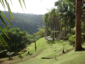 DSC09497_1