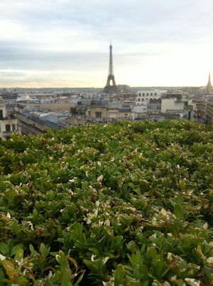 Terrazza martini vue