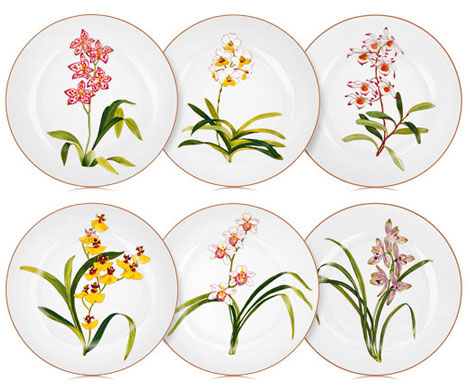 Jardin des Orchidées Hermès china 2