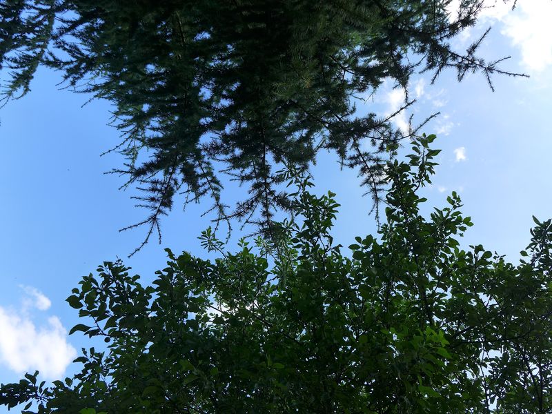 L1010840