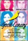 Rentreegoodcanary