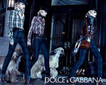 Dolce_gabbana_fallwinter_2008_200_6