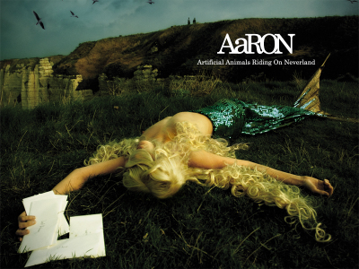 Aaron800x600